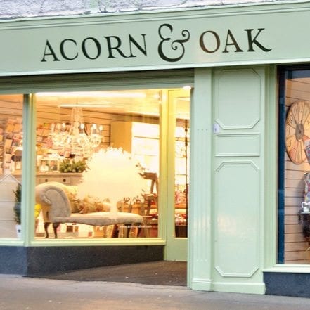 Acorn Oak