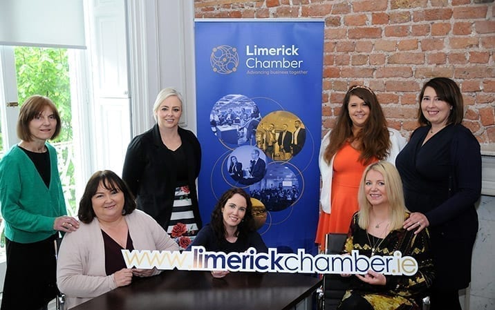 limerick chamber website launch